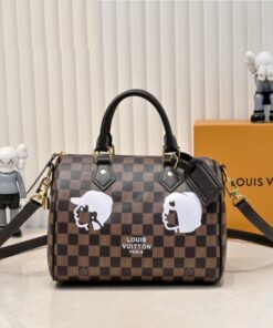 Damier Phriendship Canvas Speedy 25 Bandouliere