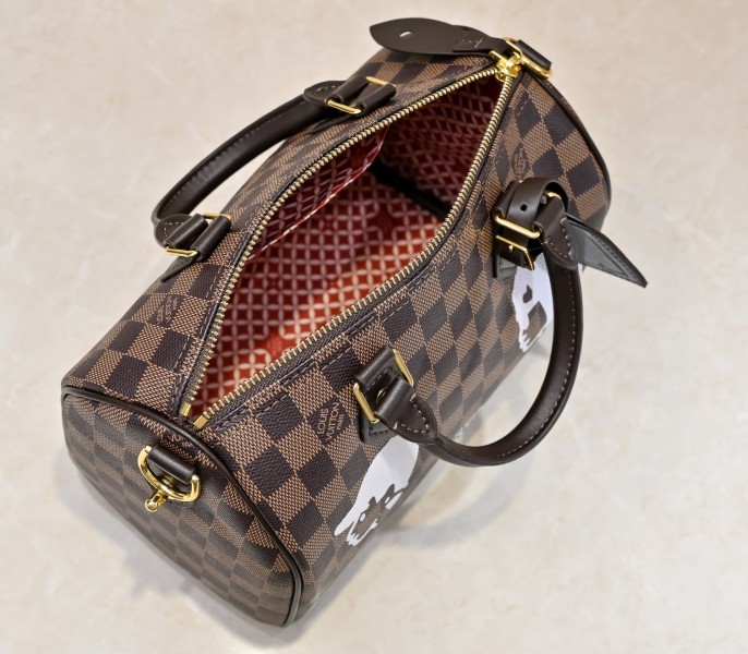 Damier Phriendship Canvas Speedy 25 Bandouliere - Image 4