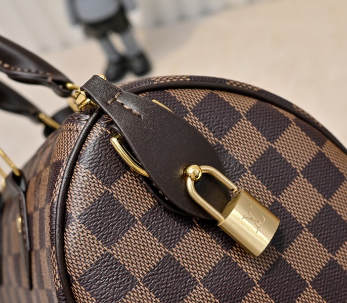 Damier Phriendship Canvas Speedy 25 Bandouliere - Image 9