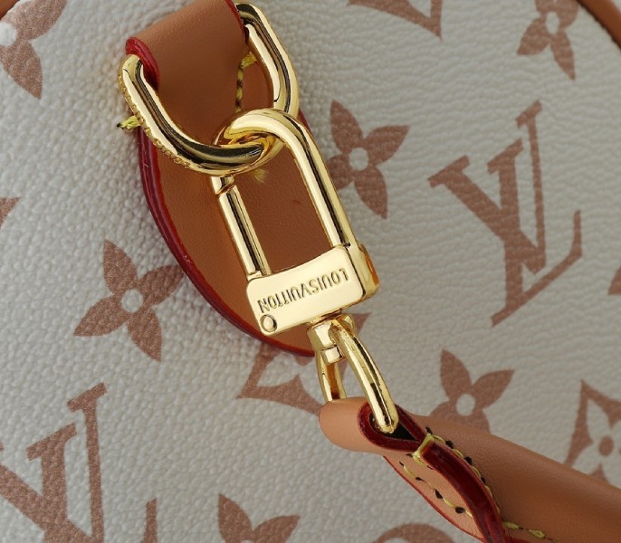 Monogram Dune Canvas Speedy Soft 30 Lucky - Image 9