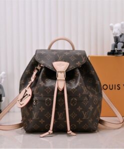 Louis Vuitton Monogram Canvas Montsouris PM Backpack