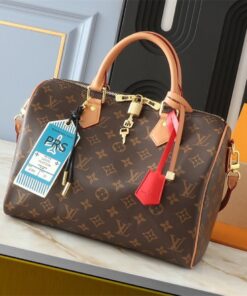 Louis Vuitton Monogram Canvas Soft Speedy 30 Crafty Handbag In Red